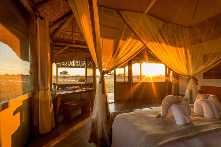 Camp hwange 21