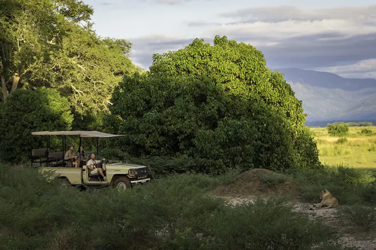Game drives in Mana Pools