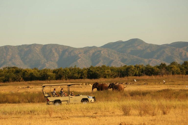 Game Drives zoom