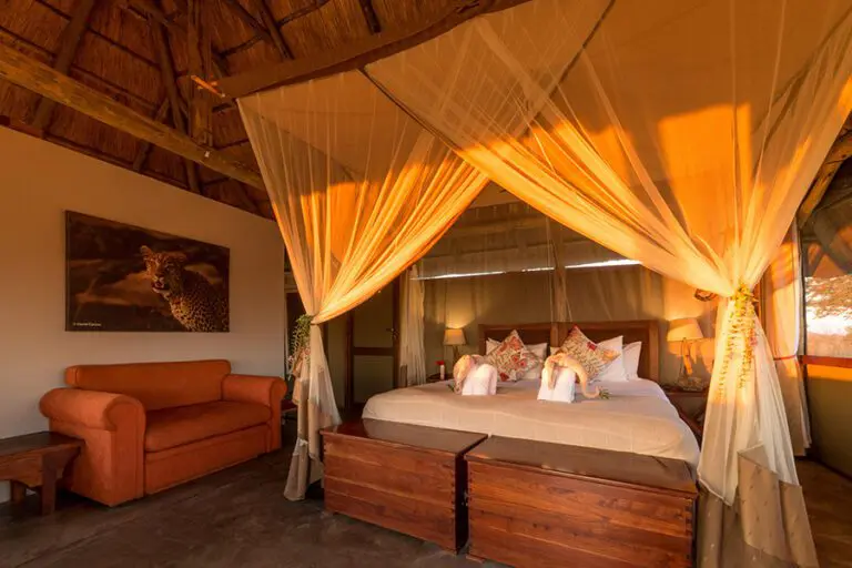 Camp hwange Room View 1