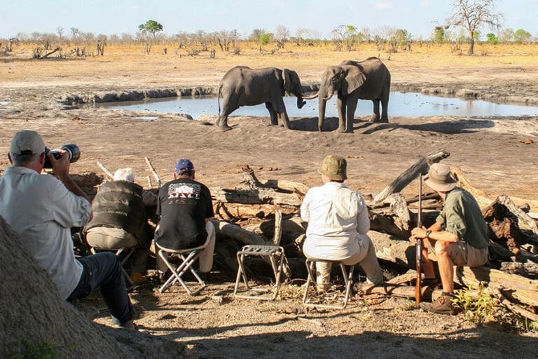 Camp hwange Game Viewing log hide