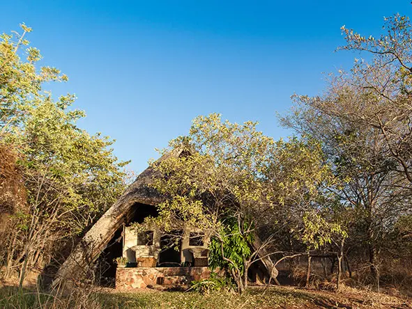 Musangosafaricamp lodge
