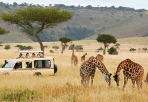 Untitled design (12)