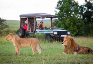 Untitled design (13)