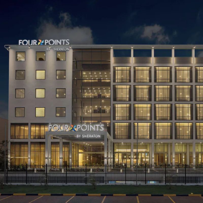 Untitled (800 x 800 px) (2)