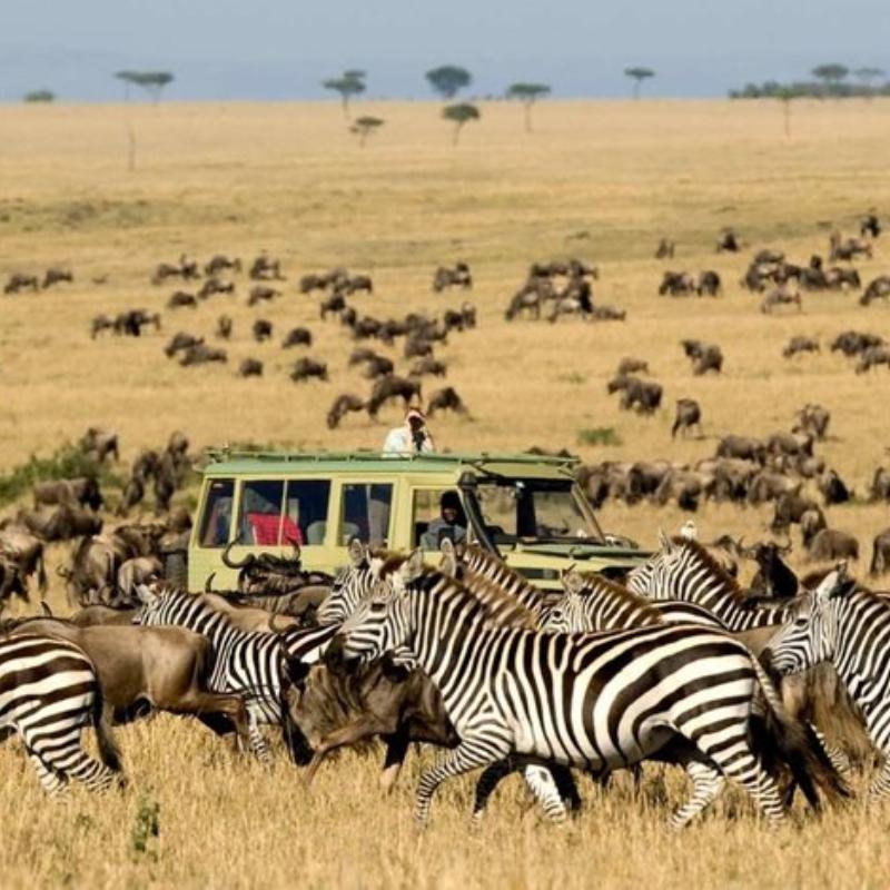 Untitled design (35)