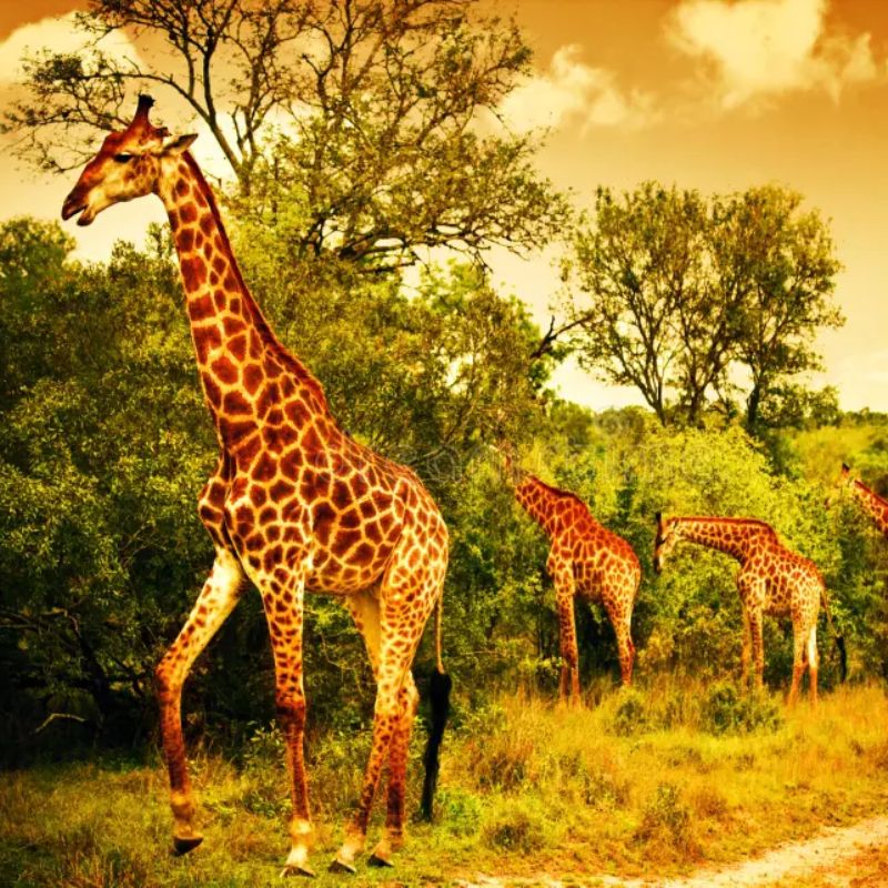 Untitled design (42)