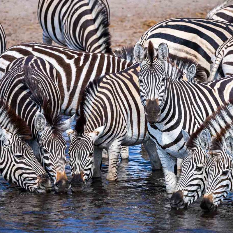 Untitled design (44)