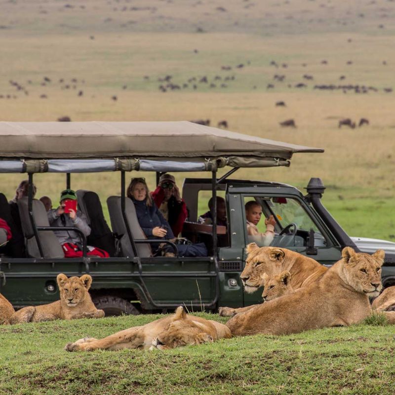 Untitled design (47)